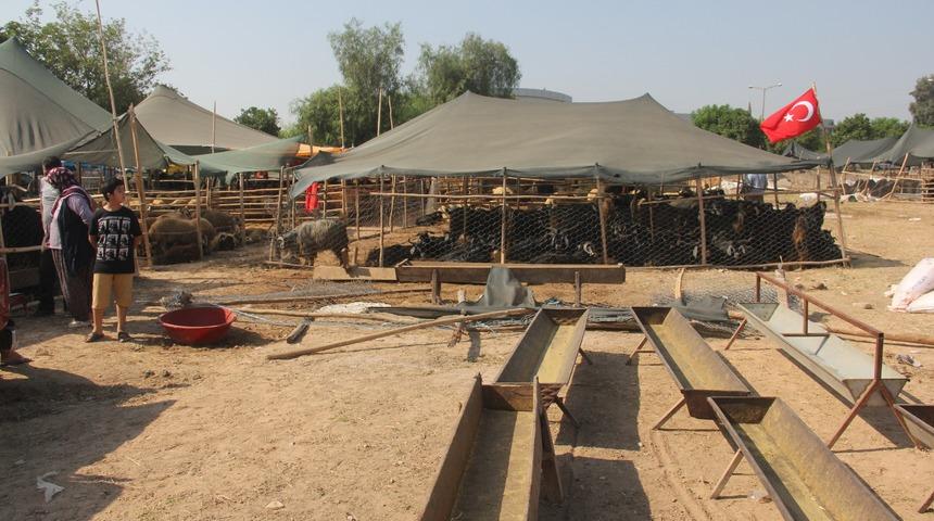 Kurban pazarında yer kavgası kanlı bitti!