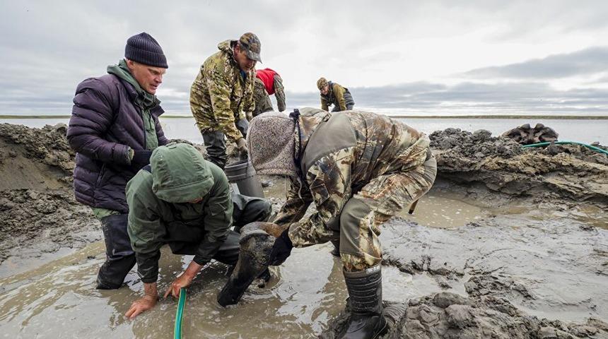 En az 10 bin yıllık mamut iskeleti bulundu