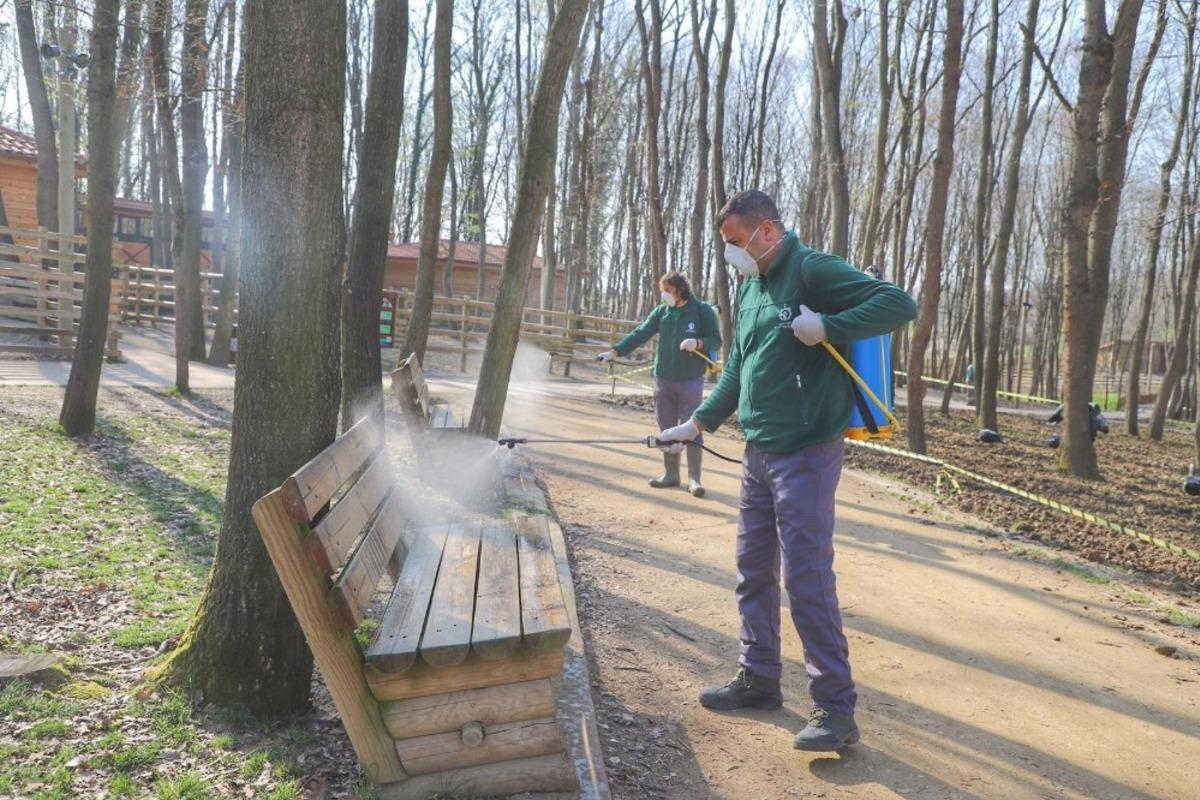 Ormanya Bayrama hazır