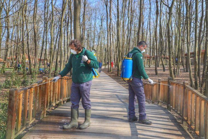 Ormanya Bayrama hazır G2