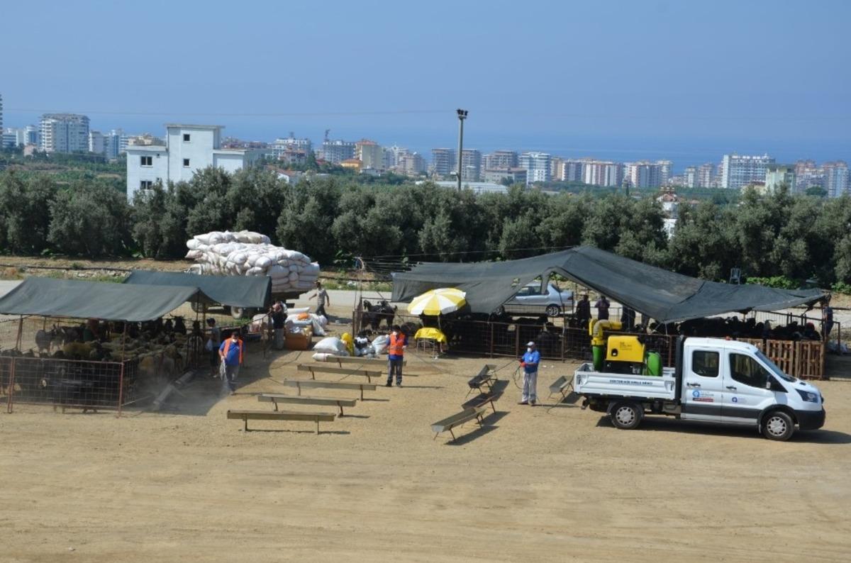 Kurban satış pazarları ila&ccedil;lanıyor