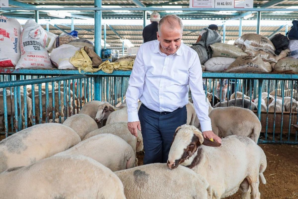 Canlı Hayvan Pazarı kurban boyunca a&ccedil;ık olacak
