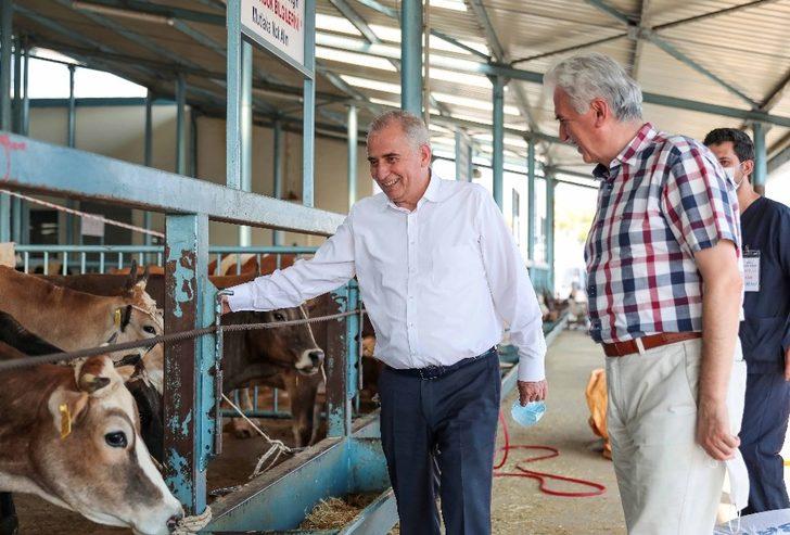 Canlı Hayvan Pazarı kurban boyunca açık olacak G2