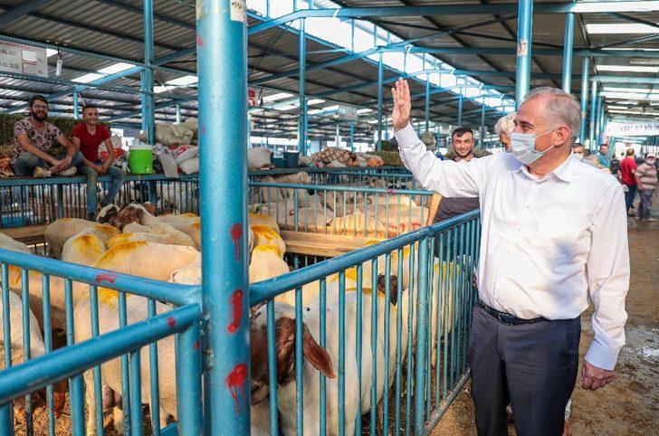 Canlı Hayvan Pazarı kurban boyunca açık olacak G3