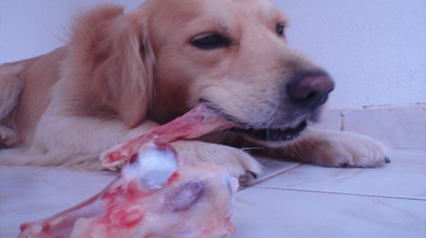 B&uuml;y&uuml;kşehir&rsquo;den vatandaşlara sakatat uyarısı