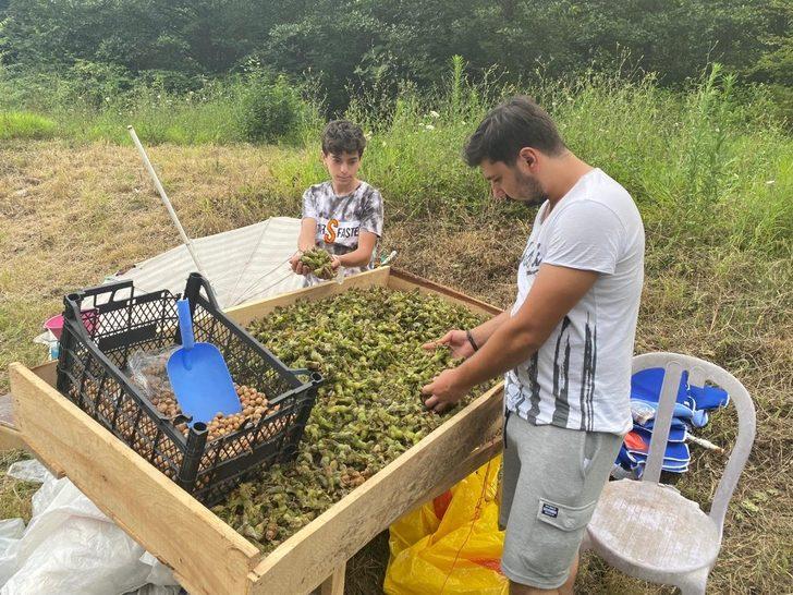 Taze fındık tezgaha indi G1