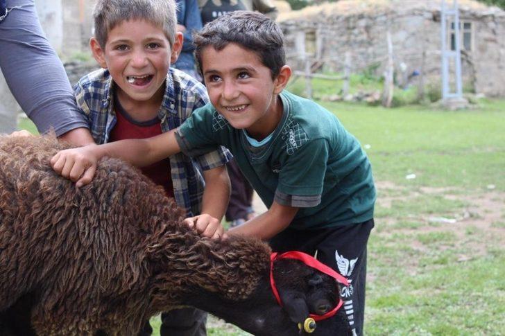 Kaymakam Ömeroğlu yetimlere kurbanlık koyun hediye etti G2