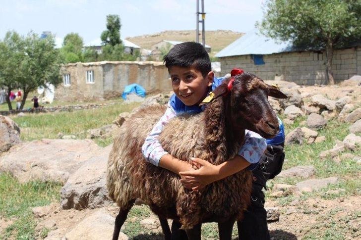 Kaymakam Ömeroğlu yetimlere kurbanlık koyun hediye etti G3