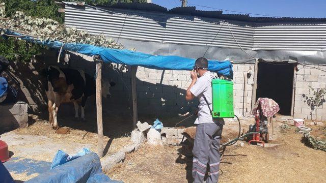 Gölbaşı Belediyesi ilaçlama çalışmalarına devam ediyor