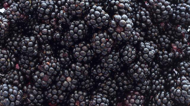 Rüyada dut görmek ne anlama gelir? Rüyada dalından, beyaz dut yemek ne demek?