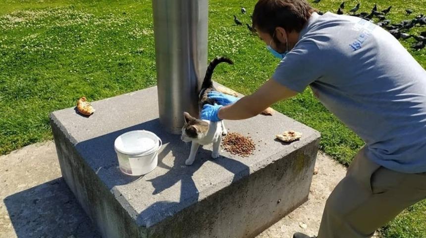 Bayrampaşa&rsquo;da sokak hayvanları unutulmuyor