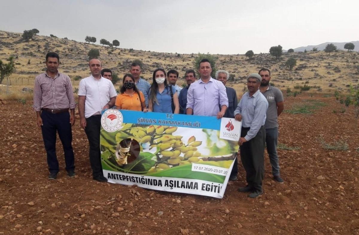 Siirt&rsquo;te fıstık aşılama eğitimi
