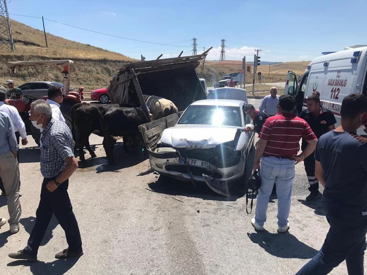Otomobil hayvan taşıyan trakt&ouml;rle &ccedil;arpıştı: 1 yaralı