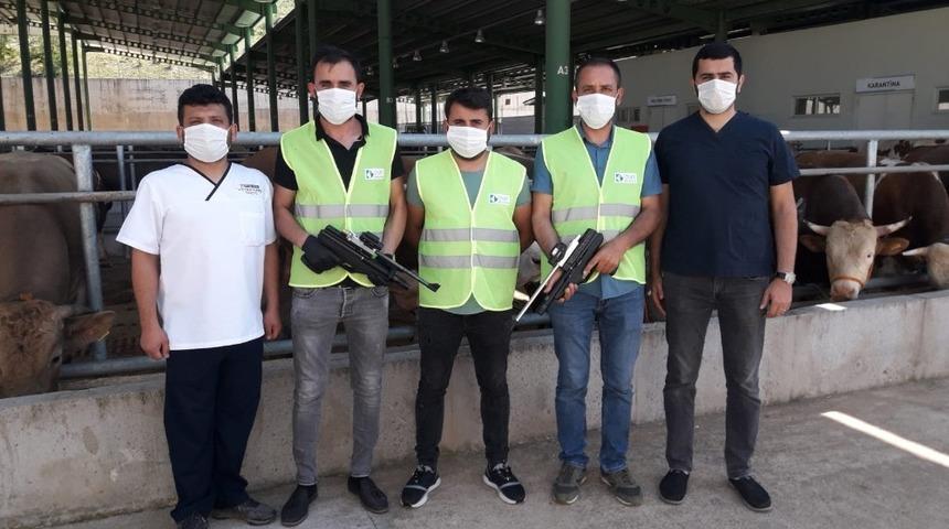 İzmit Belediyesinin Boğa Yakalama Timi bayrama hazır