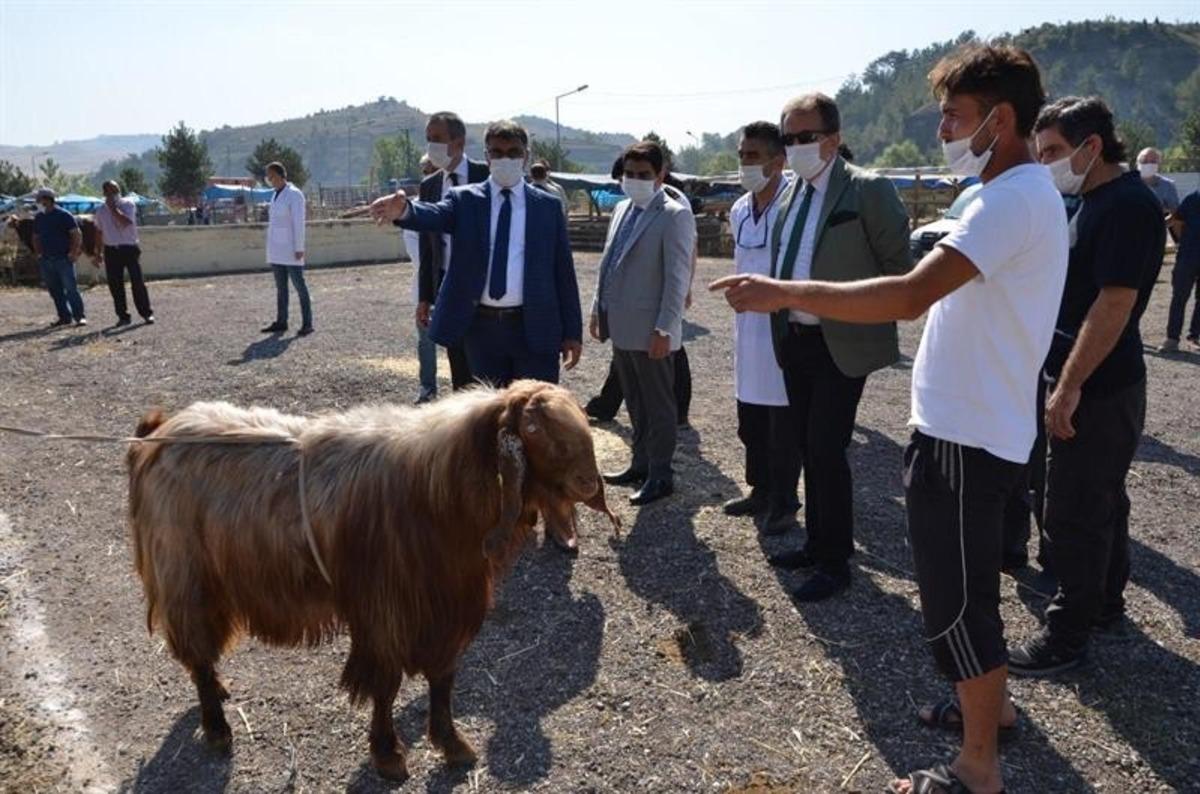 Vali G&uuml;rel hayvan pazarını denetledi