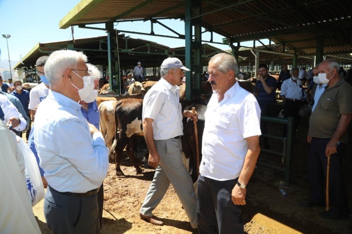 G&uuml;der, hayvan pazarını ziyaret etti