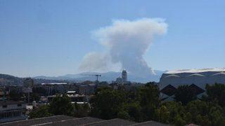 Son dakika: İzmir Balçova'da orman yangını!