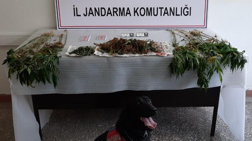 Sinop&rsquo;ta uyuşturucu operasyonu