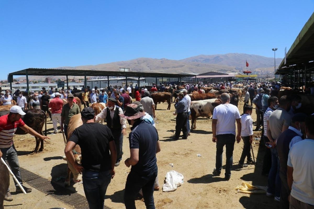 Malatya Canlı Hayvan Pazarı&rsquo;nda Arefe g&uuml;n&uuml; yoğunluğu