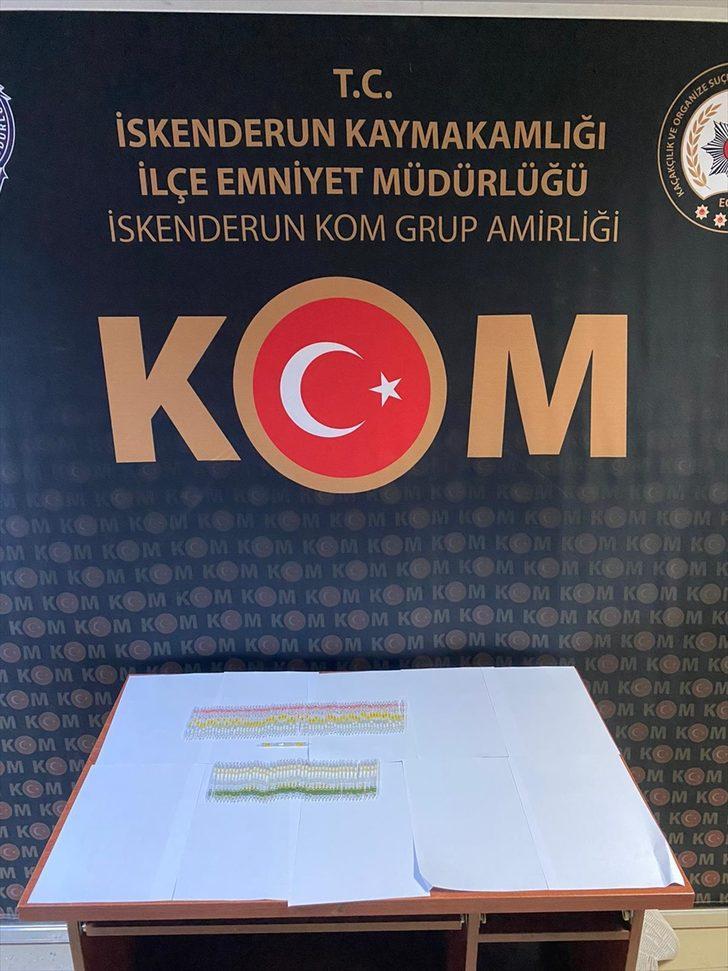 GÜNCELLEME - Hatay'da 115 tüp kobra zehri ele geçirildi G1