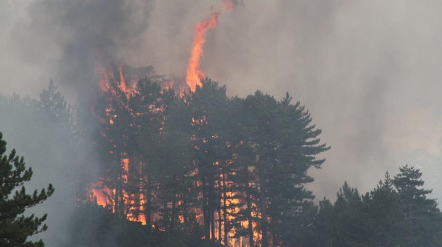 Bakan Pakdemirli'den orman yangınlarıyla ilgili a&ccedil;ıklama