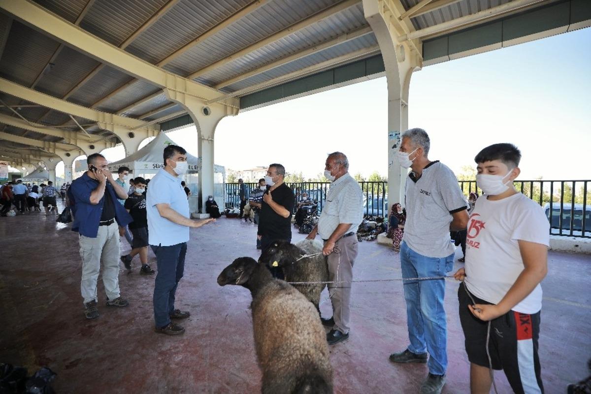 Fadıloğlu, kurban kesim yerlerini gezdi