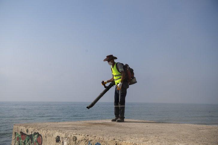 Mersin Büyükşehir Belediyesi ve Mezitli Belediyesi, Tece sahili için el ele verdi G2