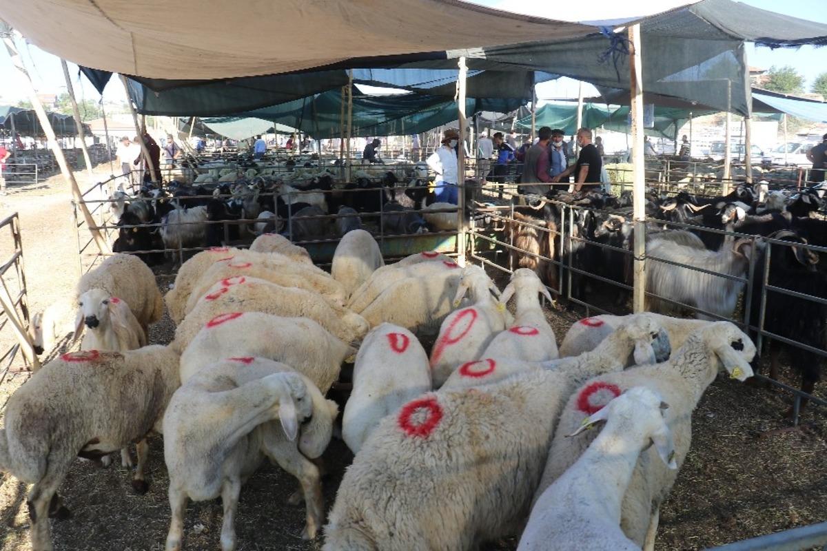 Bayramın 1&rsquo;inci g&uuml;n&uuml;nde kurban pazarında yoğunluk
