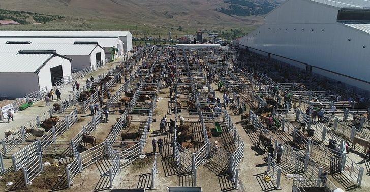 Büyükşehir’in dev yatırımı türkiye’nin gündeminde G3