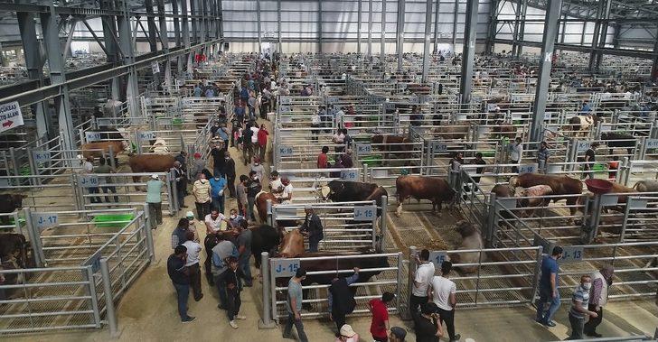 Büyükşehir’in dev yatırımı türkiye’nin gündeminde G4