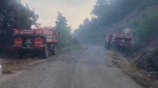 Manisa'daki orman yangınında son durum!