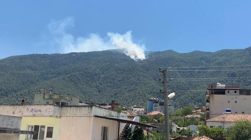 Aydın&rsquo;da orman yangını