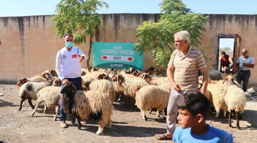 Hayırseverlerin bağışladığı kurbanlar ihtiya&ccedil; sahiplerine ulaştı