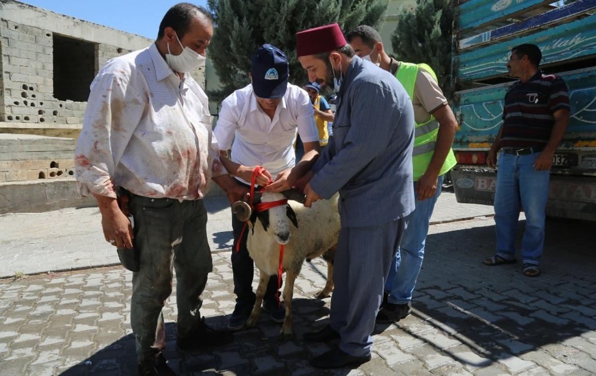 Eyy&uuml;biye&rsquo;de onlarca aileye kurban verildi