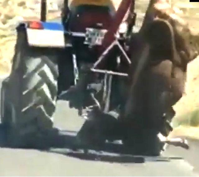 Kestiği kurbanlık ineği trakt&ouml;r&uuml;n arkasında b&ouml;yle g&ouml;t&uuml;rd&uuml; 1