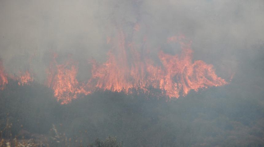 Bakan Pakdemirli&rsquo;den orman yangınlarıyla ilgili a&ccedil;ıklama