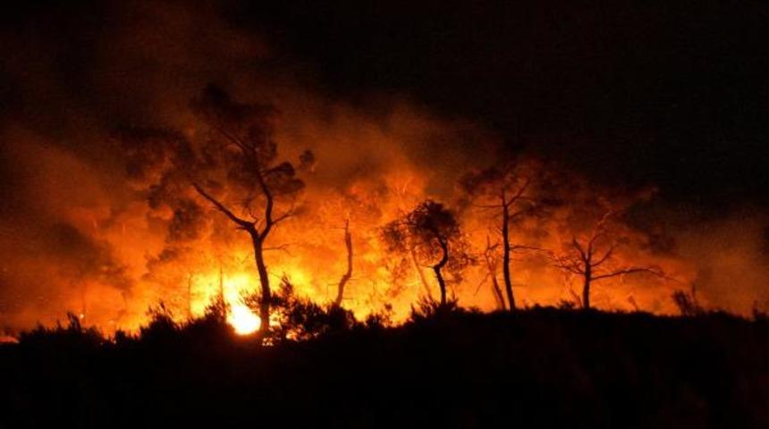 Bakan Pakdemirli duyurdu: Manisa ve Aydın'daki yangınlar kontrol altına alındı