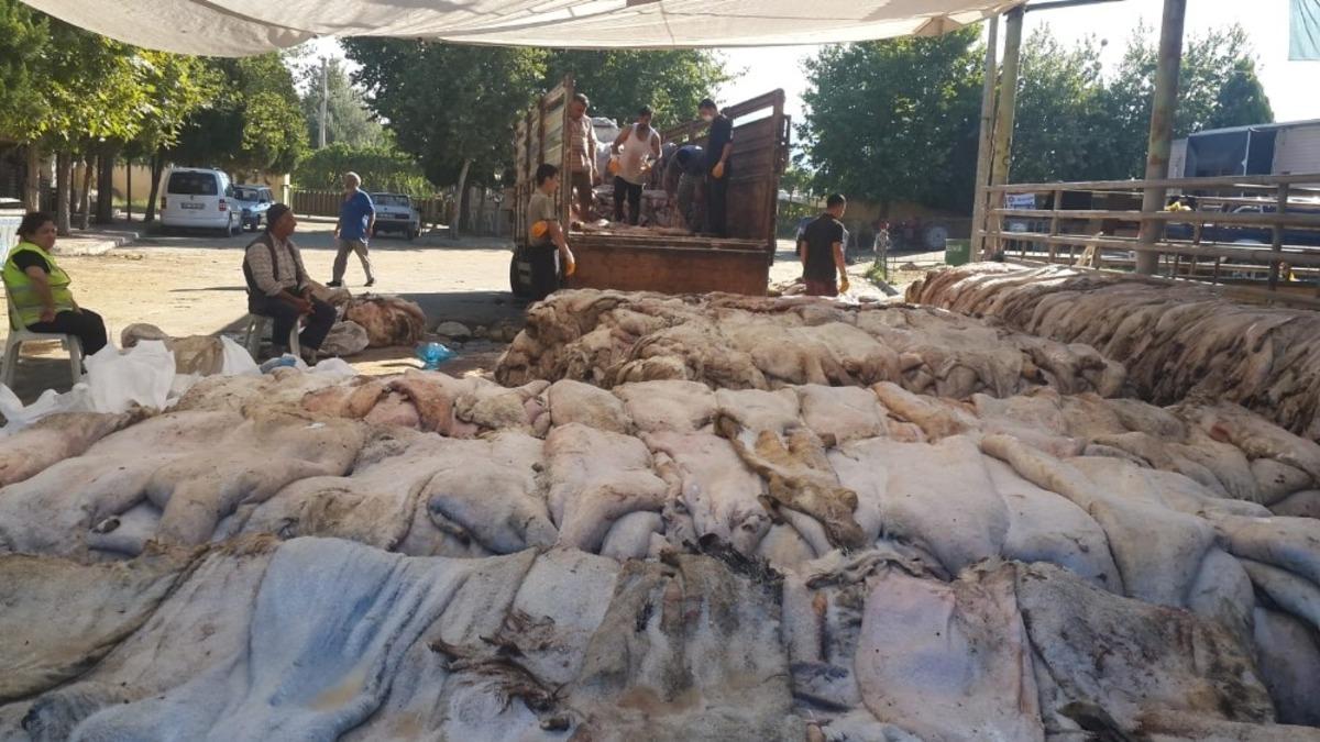 Sarıg&ouml;l&rsquo;de THK&rsquo;na 6 bin 225 deri bağışlandı