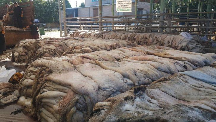 Sarıgöl’de THK’na 6 bin 225 deri bağışlandı G2