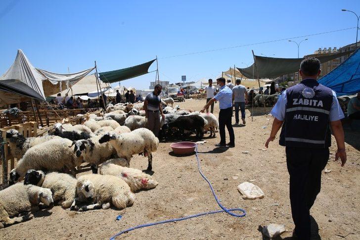 Haliliye’de bayram mesaisi G2