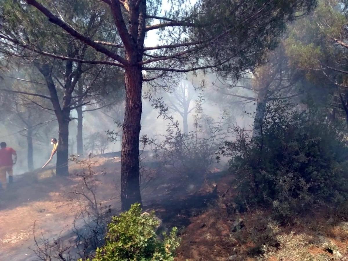 Balıkesir-Susurluk arasında &ccedil;ıkan orman yangını korkuttu