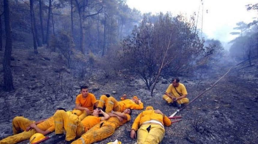 Bakan Pakdemirli paylaştı: D&uuml;n gece rahat uyudunuz mu?