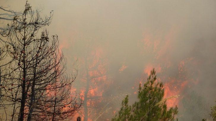 Dumandan etkilenen görevli canı pahasına alevlerle mücadele ediyor G1