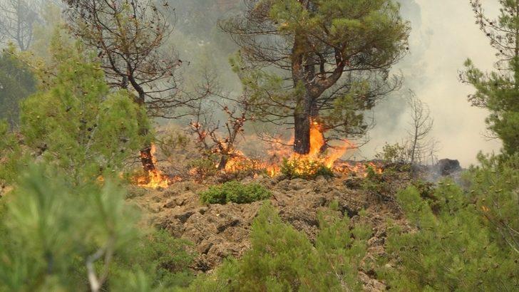 Dumandan etkilenen görevli canı pahasına alevlerle mücadele ediyor G3