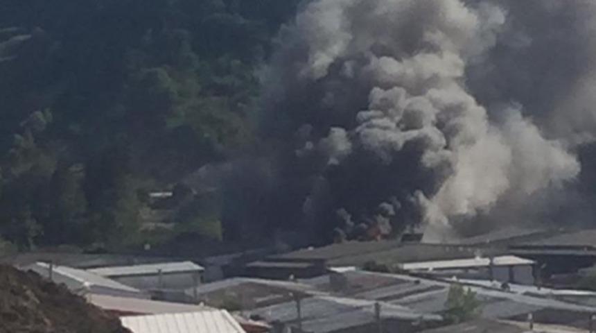 Yalova'da korkutan yangın