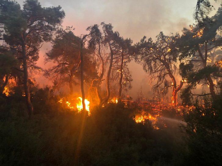 Manisa Büyükşehir Belediyesi yangın bölgesi için seferber oldu G2