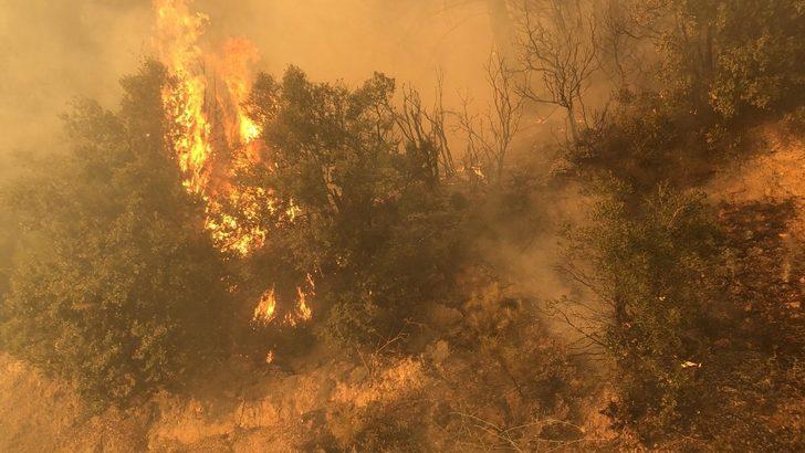 Manisa Büyükşehir Belediyesi yangın bölgesi için seferber oldu G3
