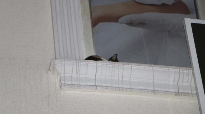 Sıkışan yavru kediyi itfaiye kurtardı