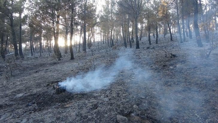 Uşak’taki orman yangınları kontrol atına alındı G2