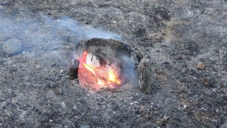 Uşak’taki orman yangınları kontrol atına alındı G3